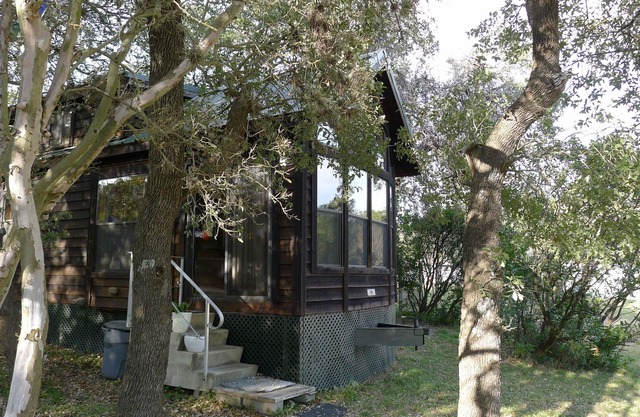 Texas Tiny House with Hill Country Charm