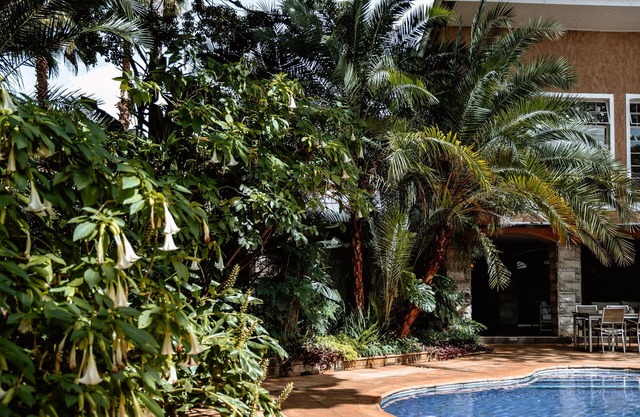 The 5* Sandalwood Lodge in Mount Pleasant - 2020