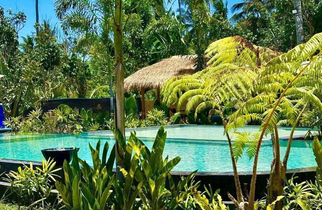 The Bali Farm