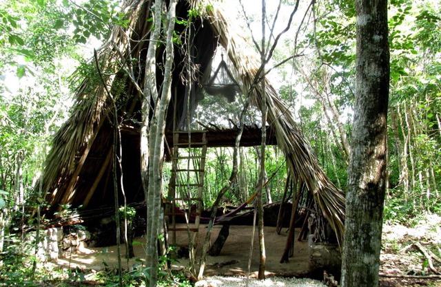 the BAREFOOT jungle loft
