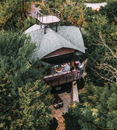 The Chamuang Forest