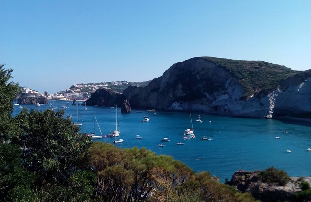 The corner of Andromache: freshness and calm in Anzio, a few minutes from the beaches