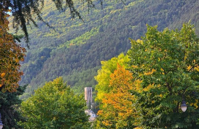 The cottage in Capolaia