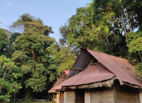 The Forest Elephant - Formerly known as the Flying Elephant