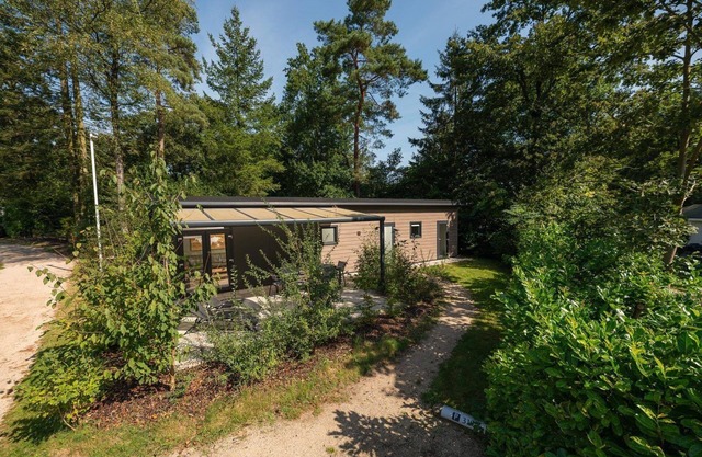 The Forest Lodge is a contemporary and surprisingly spacious chalet.