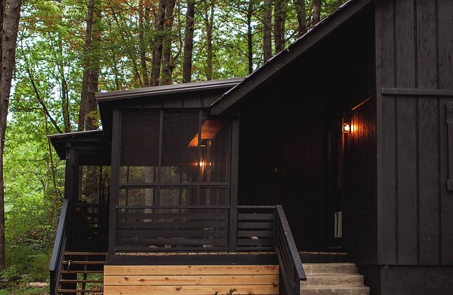 The Goodday Getaway - cozy modern mountain cabin