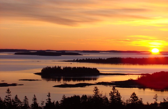 The Natural Beauty of Downeast, ME surrounds Pyne Cove Cottage and welcomes you!