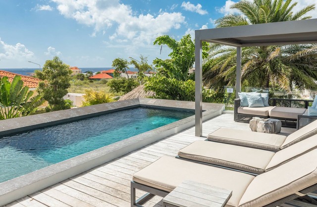 The Pearl of Jan Thiel, private pool, gym and game room 1