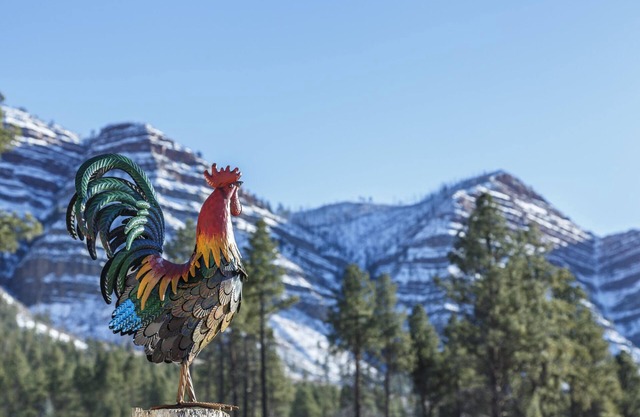 The Rustic Rooster Inn, Breathtaking Views, Between Downtown Durango & Purgatory