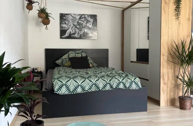 The Saar Jungle Design Apartment im Herzen von Saarbrücken