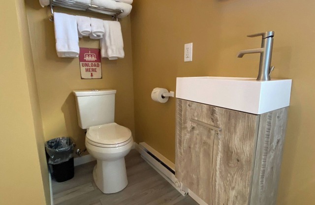 The Ski Haus - Themed Tiny Home with Vintage Ski Lodge Flair Near Estes Park
