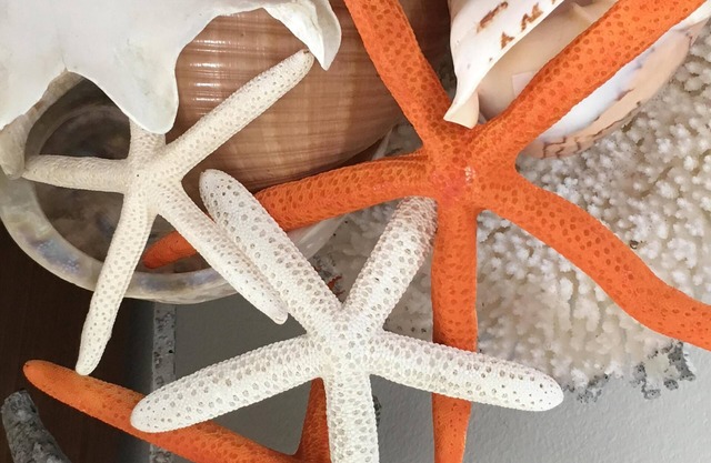 The Starfish Cottage" Steps to the Ocean. 🌊🏖️. 🌀SUMMER FUN 🌀RELAX & ENJOY 😎