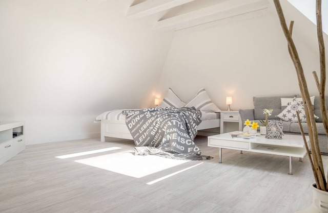 The Tessa apartment is located in the middle of the roof with its light-flooded
