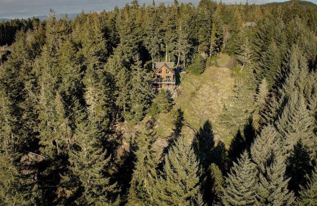 The Tiny Cabin: A Sooke Forest Retreat