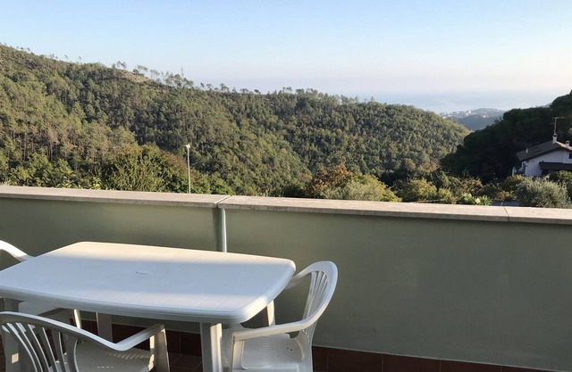 The tranquility of the green a few kilometers from the beach