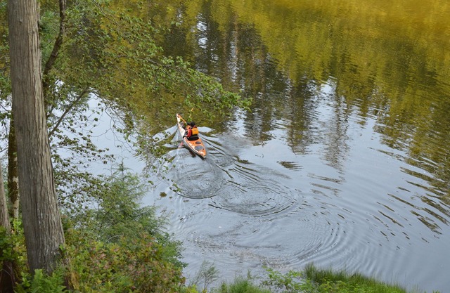 Tidal Dance at Halfmoon Bay: “.a little piece of Paradise”