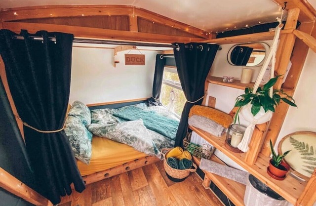 ‘Tiny Black Bean’ @ Trenoon Meadow Glamping (adults only)