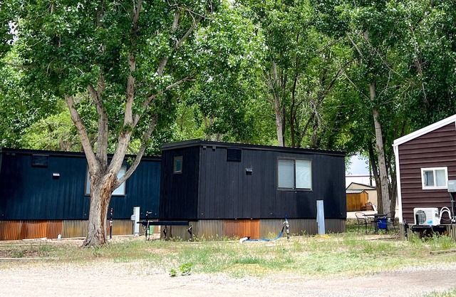 Tiny home with one lofted queen bed and full size futon.