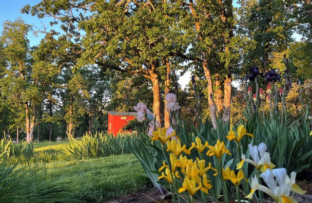 Tiny House is a Quiet Oak Grove