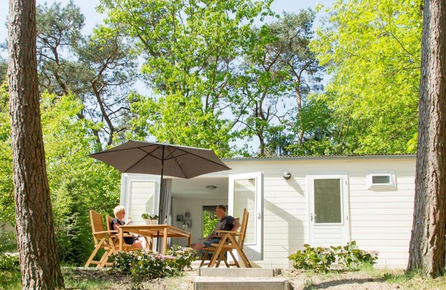 Tiny House Lijster Nunspeet Veluwe