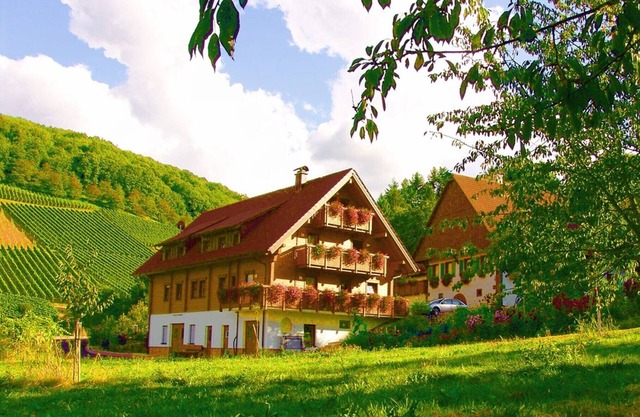 Tiny-House Toftaholm, 23sqm, 1 bedroom, max. 2 persons