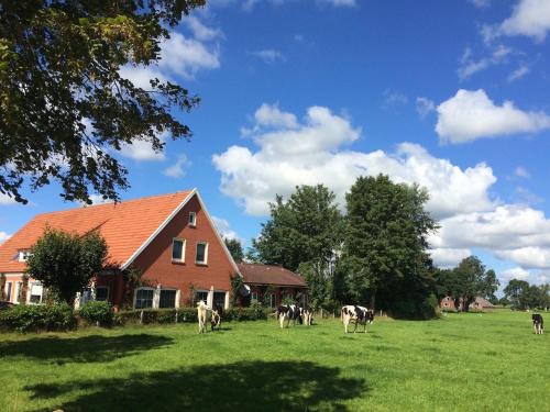 Tolles Ferienhaus für 18 Personen in Ostfriesland mit Kino, Bar, Sauna und Whirlpool