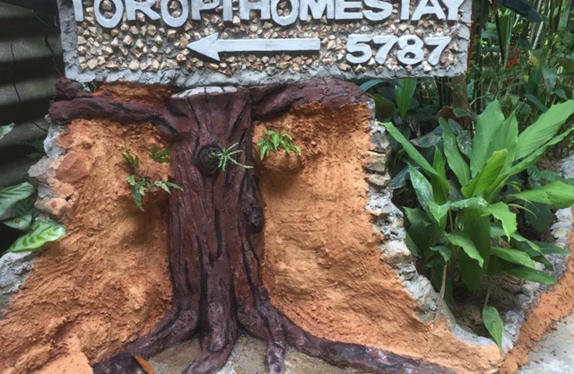 toropi homestay