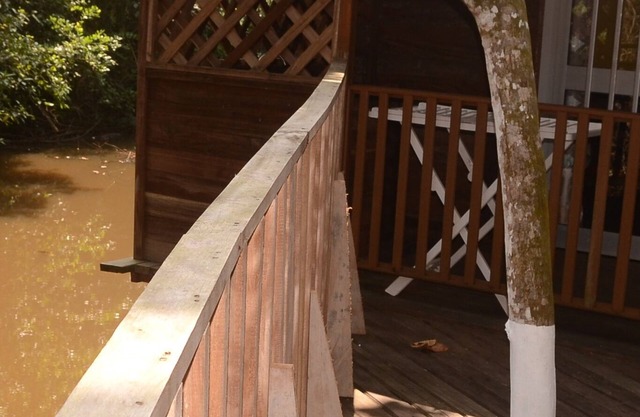 Toucan Economic Bungalow, 1 bedroom, Nature and quiet kitchen area