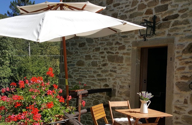 Tourist location surrounded by nature, peace and relaxation.