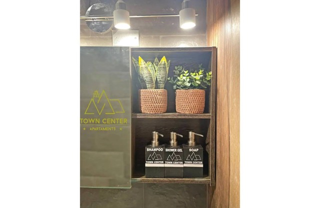 Town Center Apartment 42