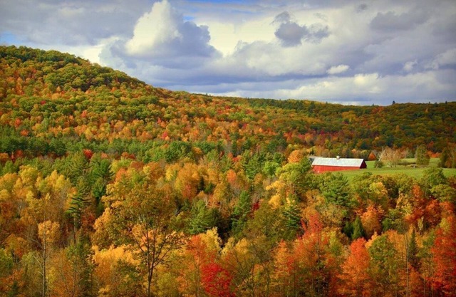Tranquility: Secluded White Mountains New Build Custom Log Home on 5 acres