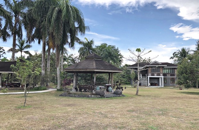 Tree House at Sitio de Amor Leisure Farm|Tree House at Sitio de Amor Leisure Farm