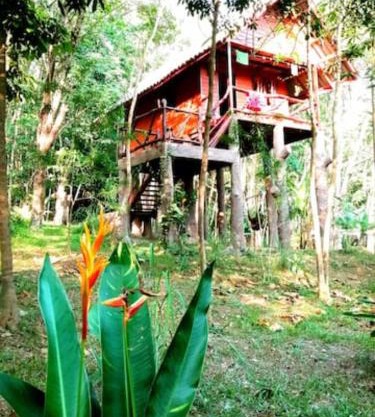 Treehouse Holidays-Garden View