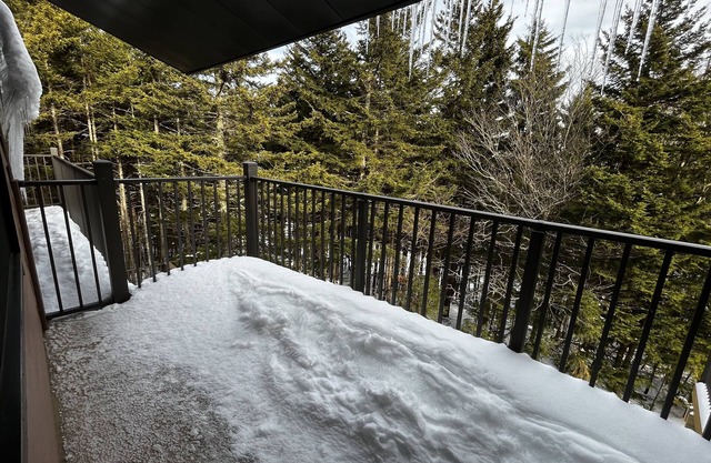 Treetop 39 - Snowshoe , Short walk to The Village!