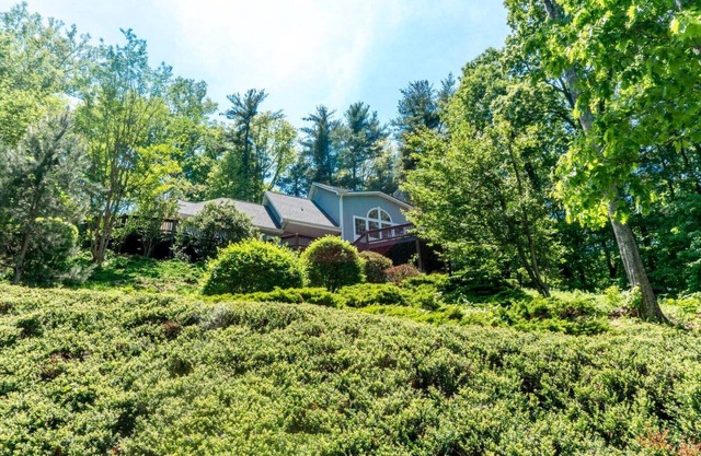 Treetop Hideaway with mountain views. 1000 sq. ft. 10 min to downtown Asheville!