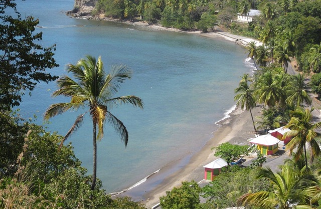Treetops. A beautiful timber cottage, sea view, private and close to the beach.