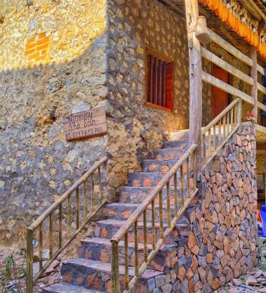 Triệu Chương Homestay