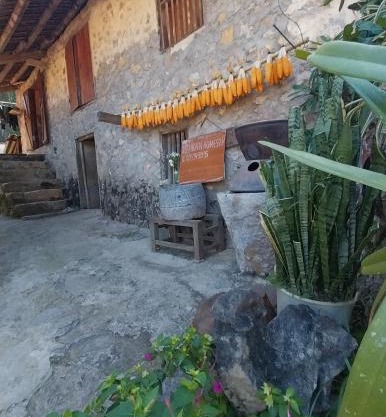 Trieu Hoan homestay