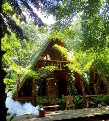 tropical garden homestay