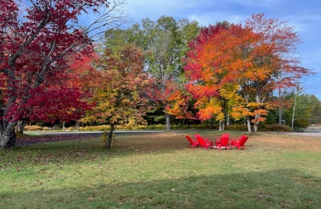 Trout Lake-Summer/Fall/Winter- UP near Mackinaw City/Beautiful Landmarks
