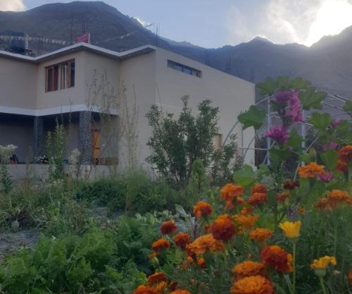 Tsogstot residency