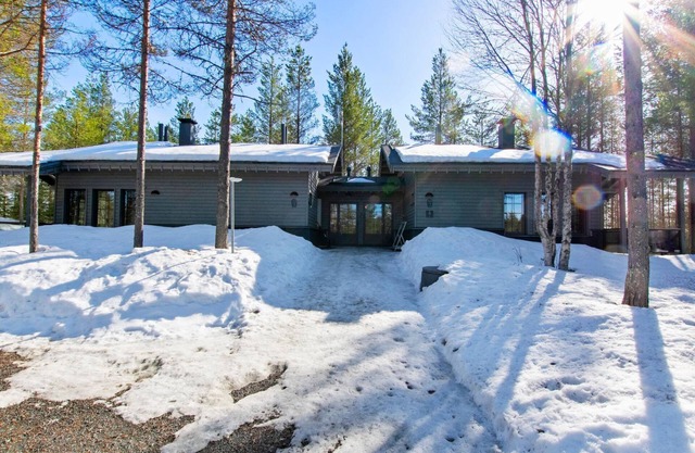 Tunturipöllö 