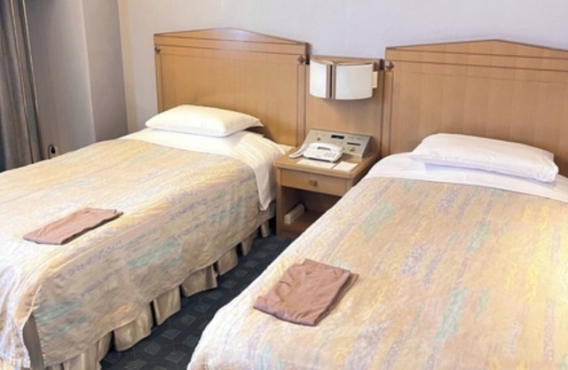 Twin B Nonsmoking room Accommodation only plan /Hanno Saitama