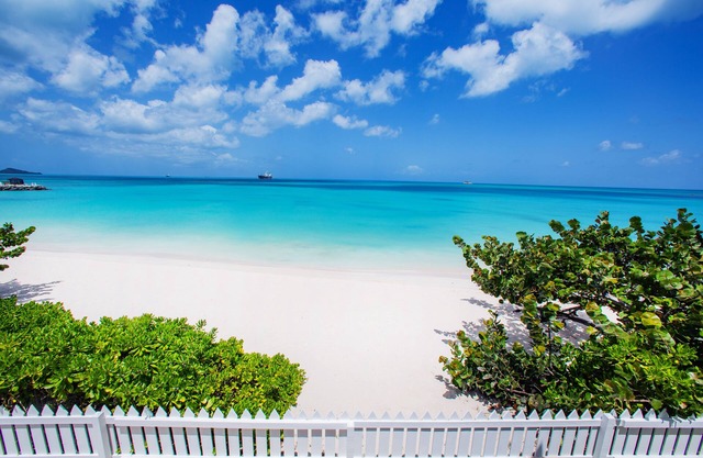 TWO BEDROOM/BATHS APARTMENT 60 YARDS FROM BEACH