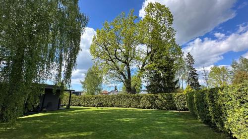 ULU - Design House & Garden