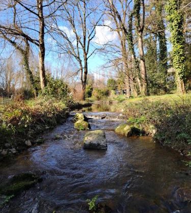Un studio dans un cadre bucolique