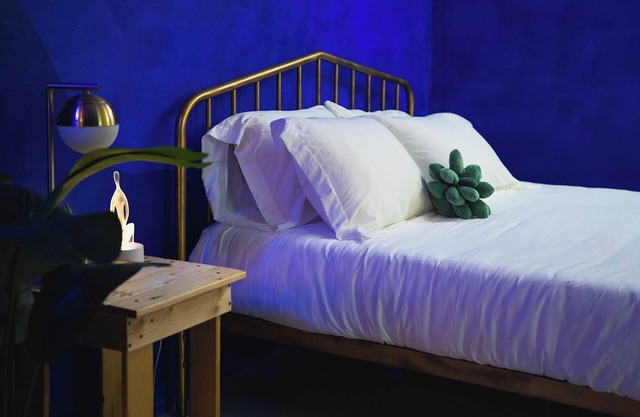 Unique Art Studio Getaway San Antonio Hidden Gem