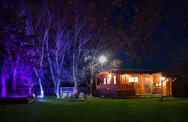 Unique Cabin Oasis: Fully-Gated, Pet-Friendly, King Bed