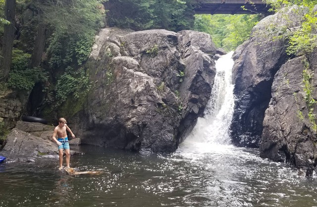 Unplug at Davey Fallls! Water view, Private waterfall & large swimming area.
