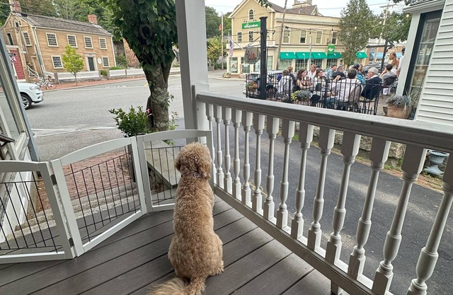 Updated home in the heart of Cohasset Village